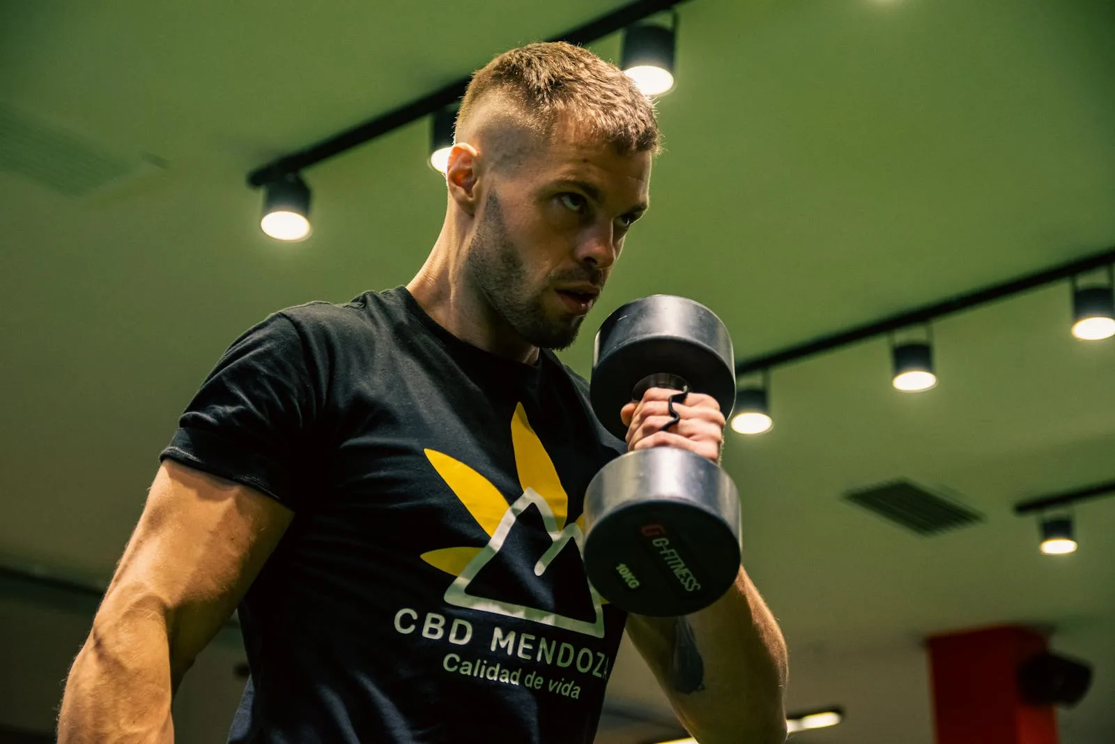 Dumbbell strength work used to support boxing and strength training together.